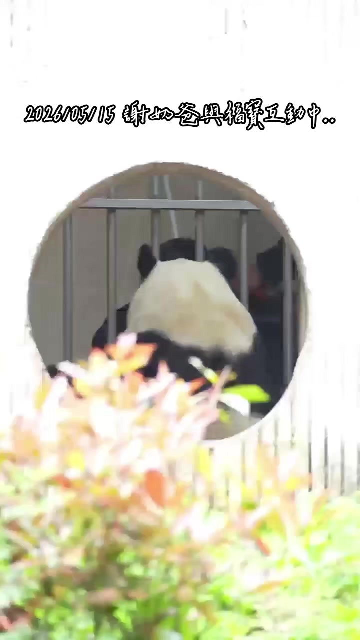 @福寶需要愛的抱抱