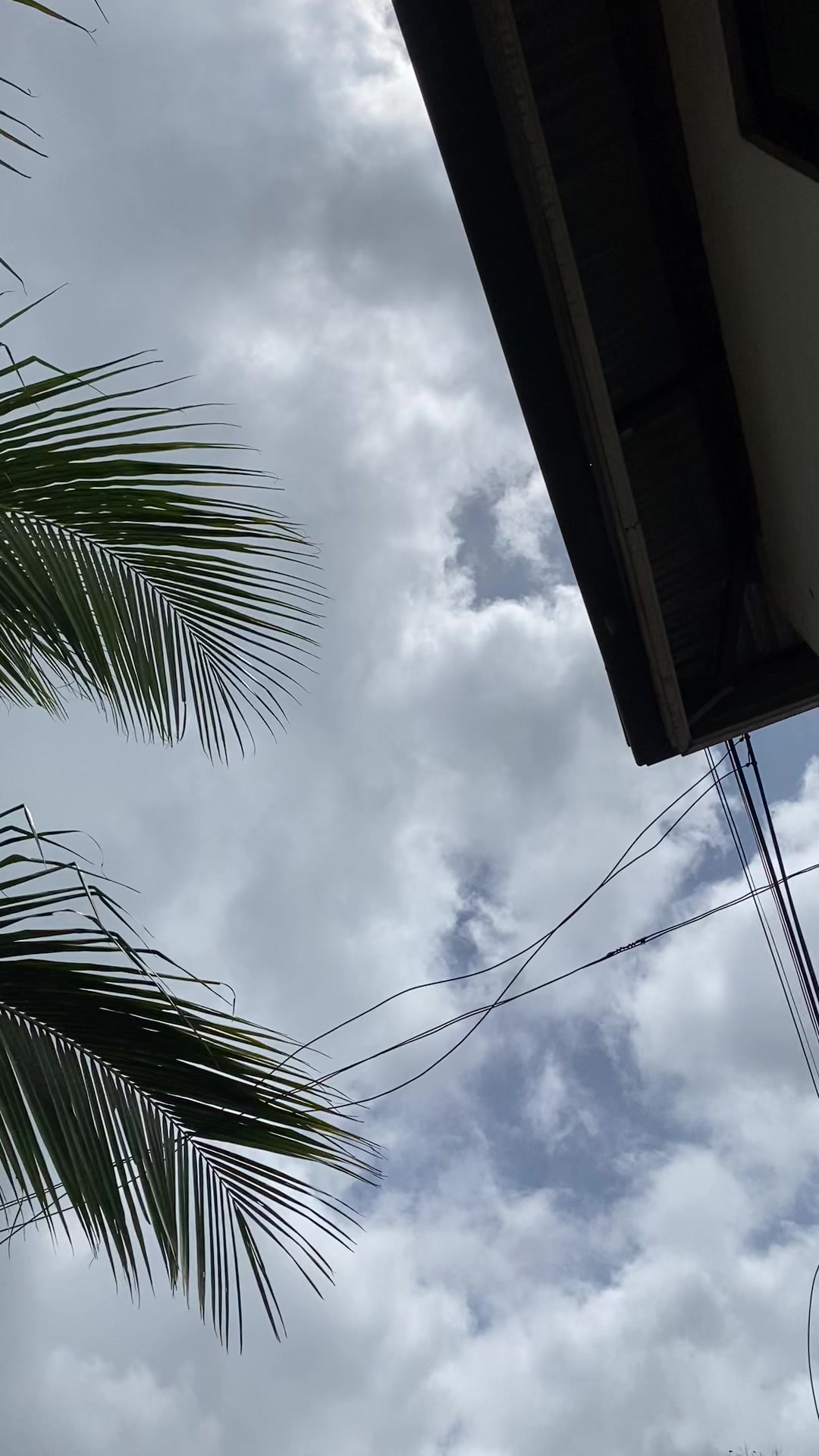 @CJ7🇵🇭