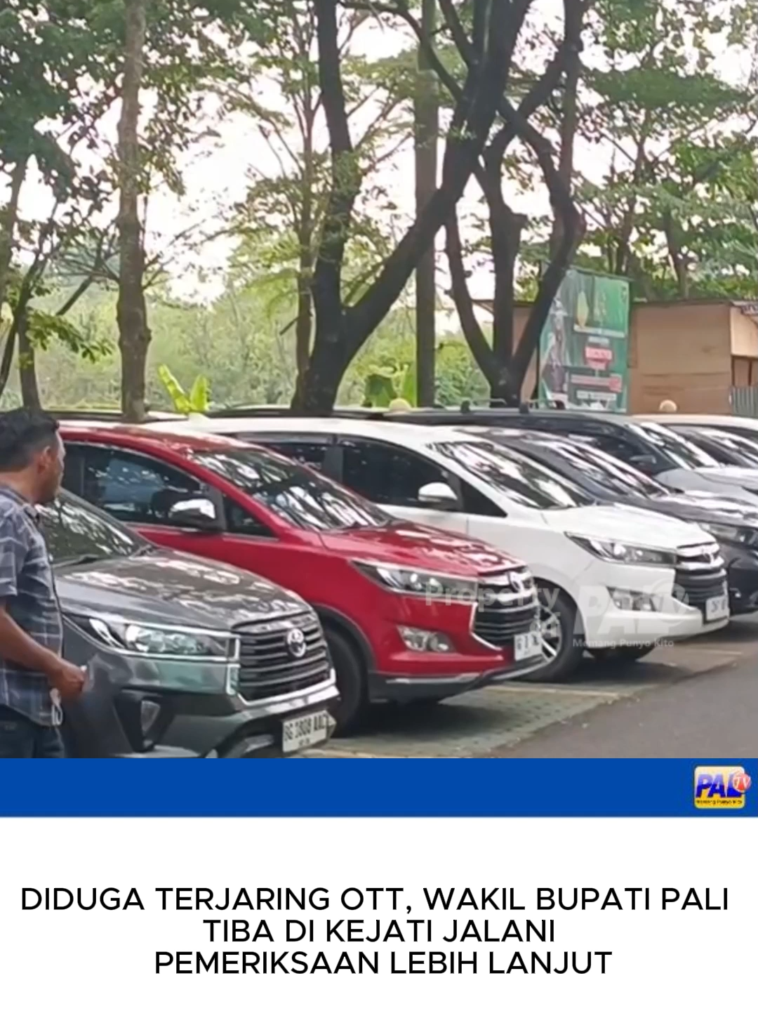 @Paltv-Memang Punyo Kito
