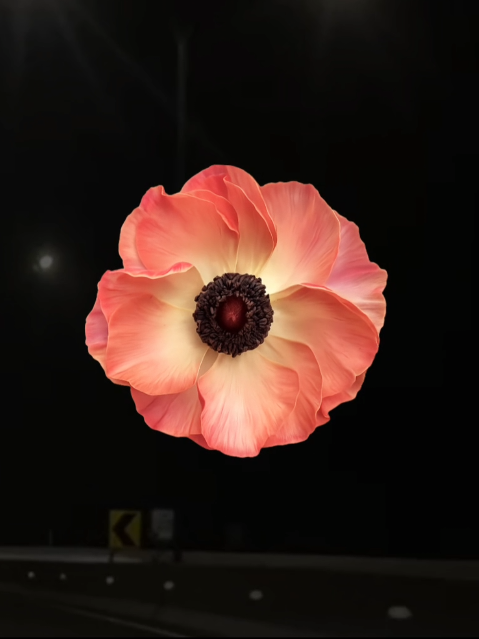 @𝐗𝐕𝐈 𝐀.𝐂
