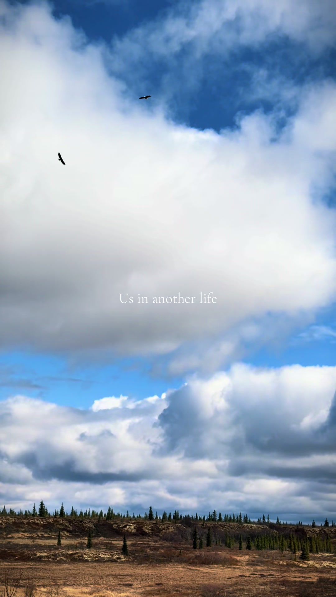 @v i c t o r i a ๐๏ธ