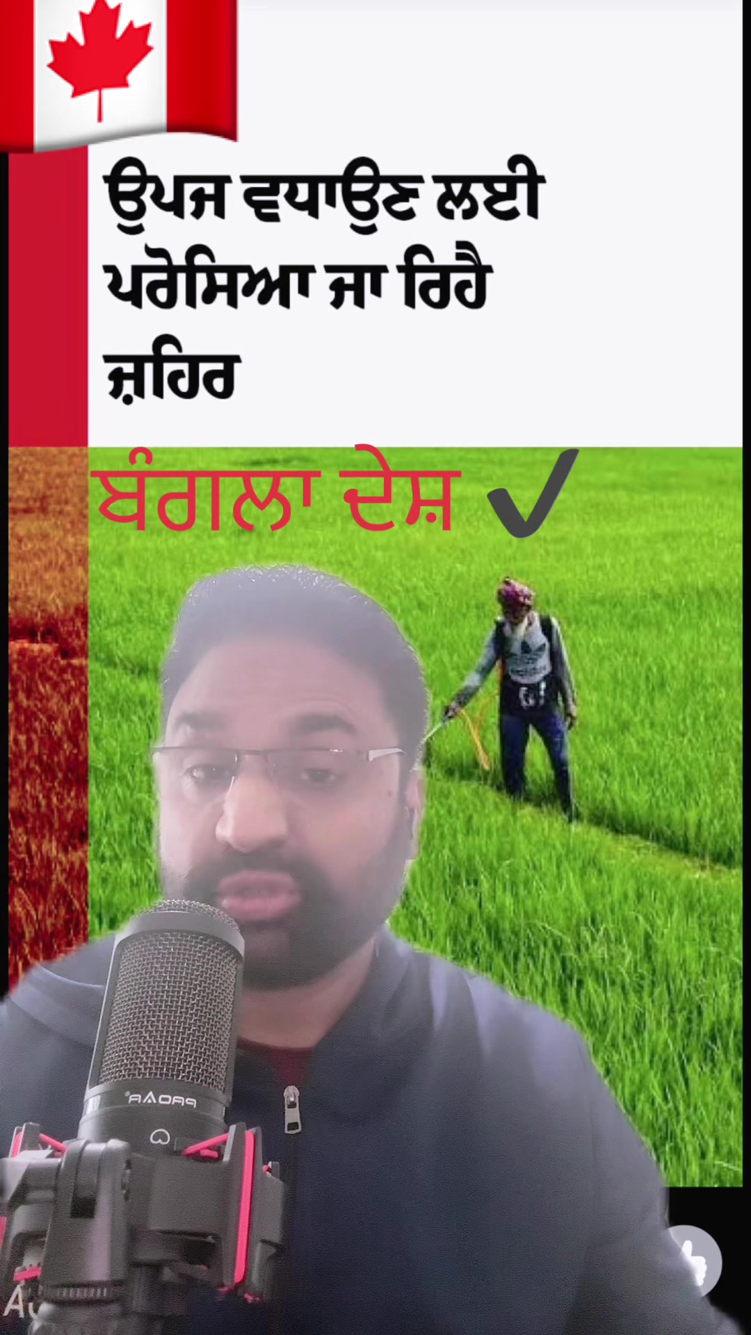 @Jagdeep randhawa