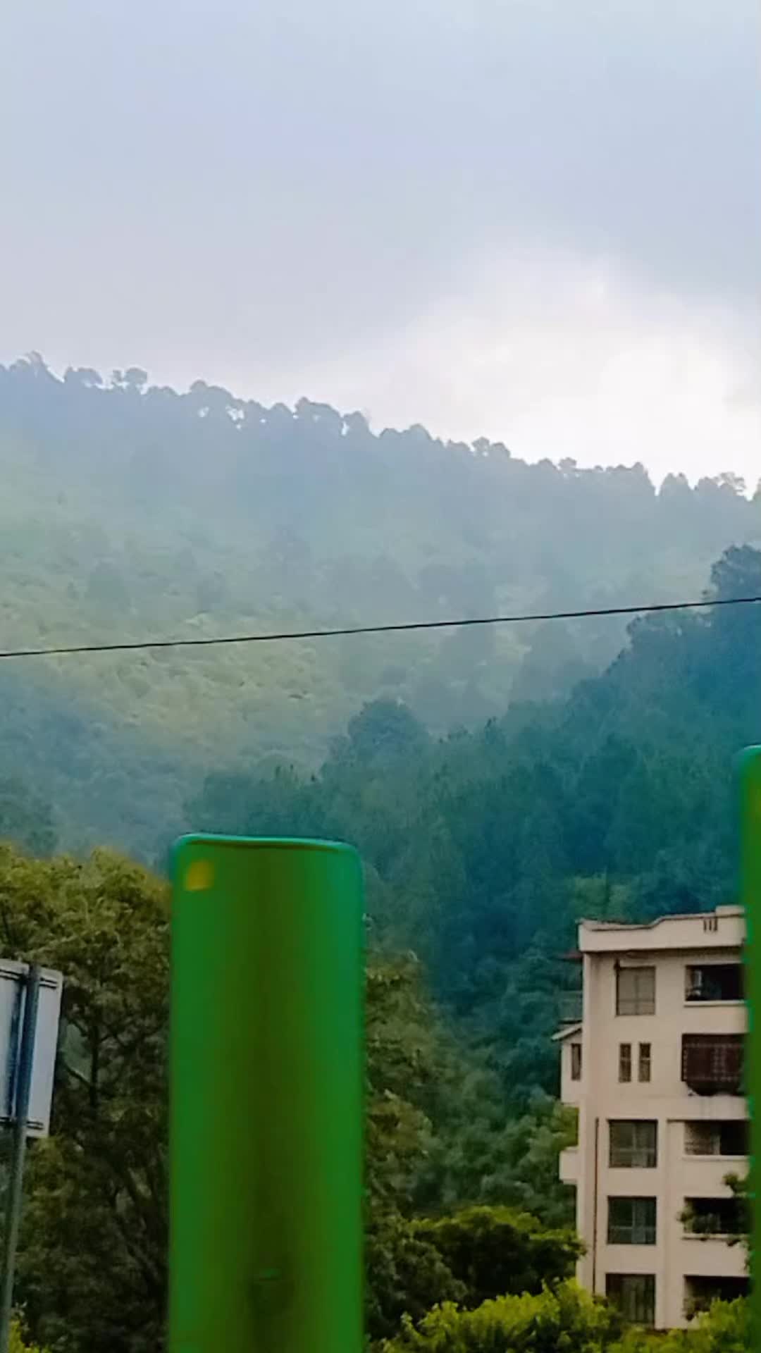 @reehakhan40