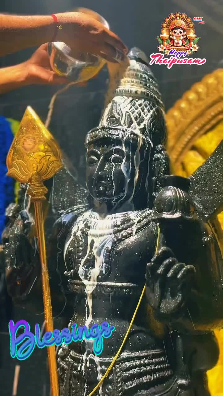 @Yogam Collection Resources