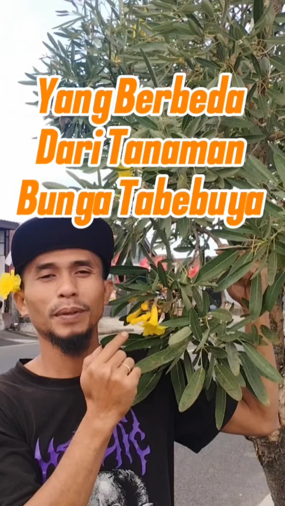 @Bukit Farming