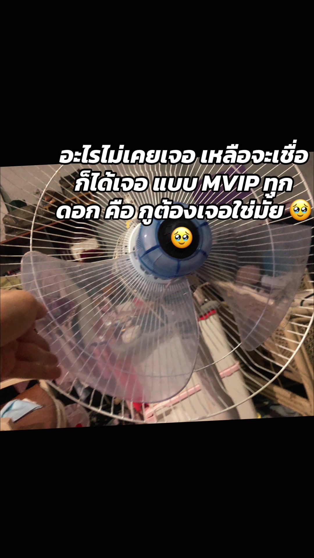 @w.yr.name_proud