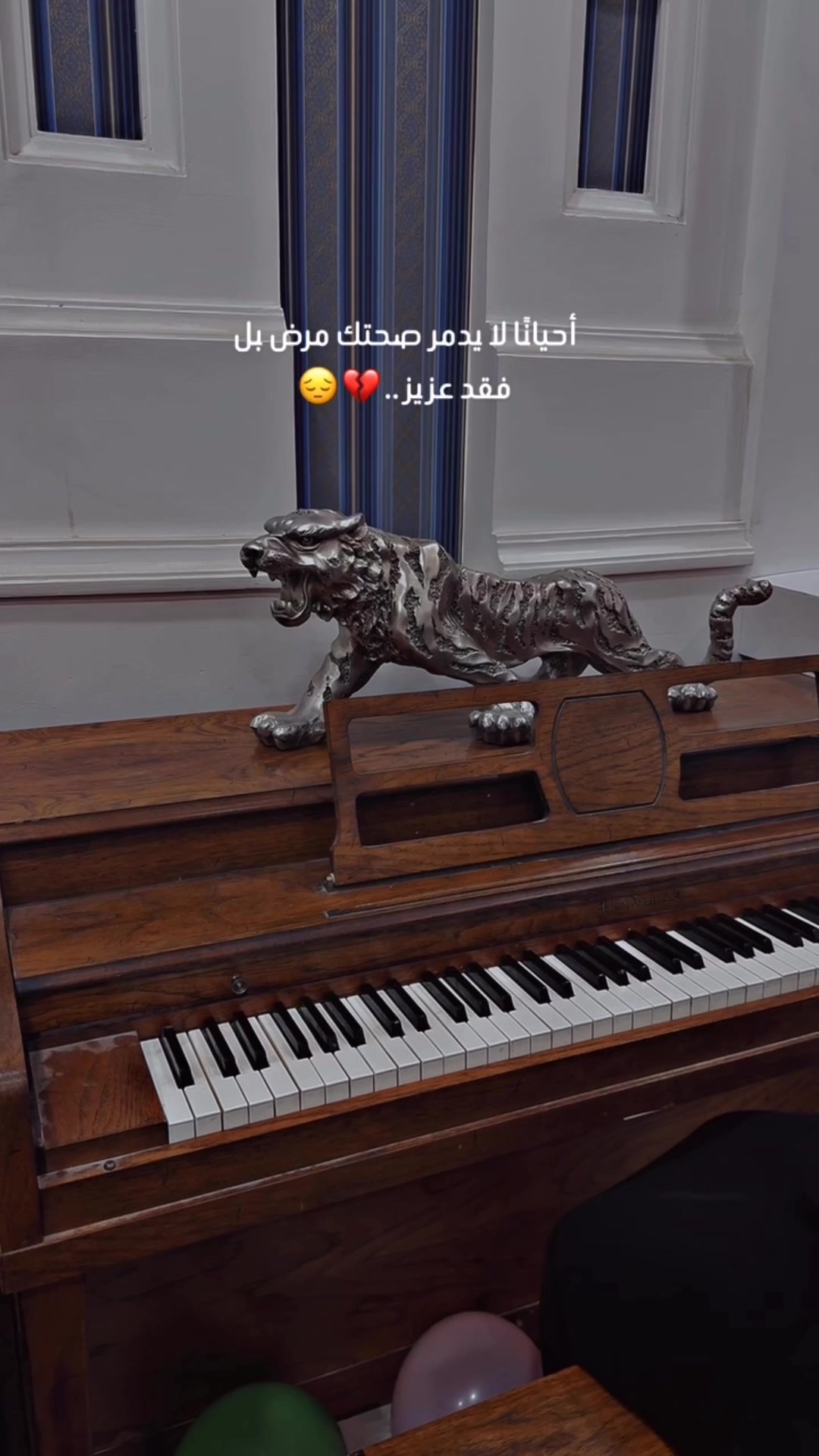 @امـ💕ـــل امير🐎