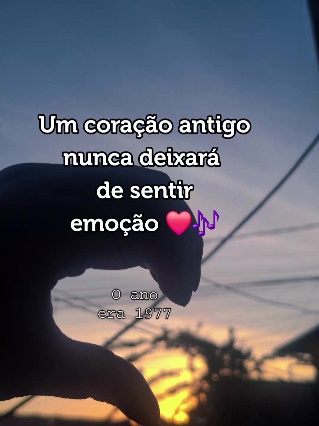 @Sereia ℂ𝕠𝕣𝕒çã𝕠𝔸𝕟𝕥𝕚𝕘𝕠