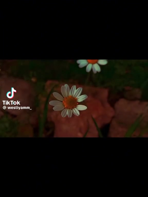 @Nur Şam ❤️❤️