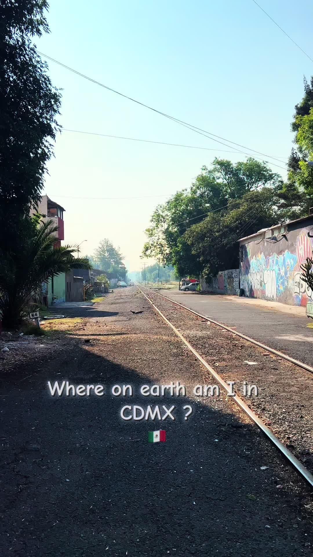 @Manolito