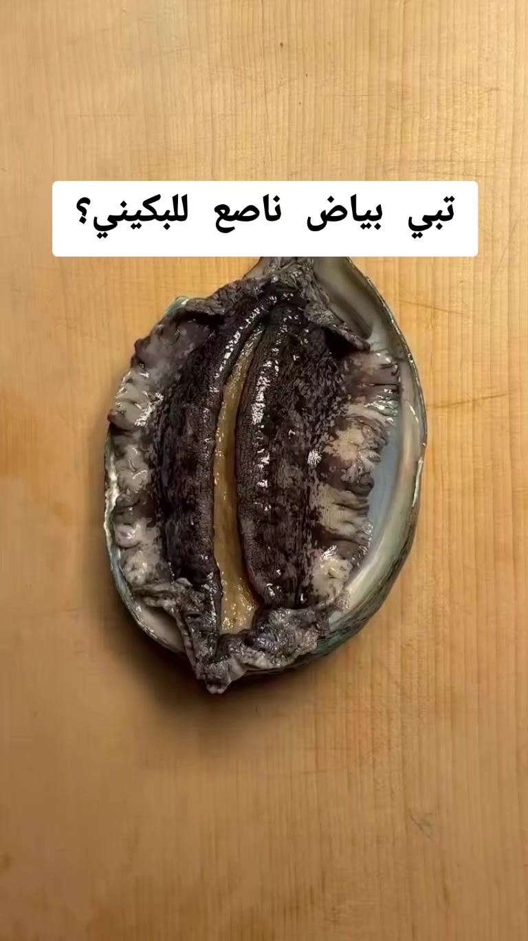 @ام سعود بيوتي✨