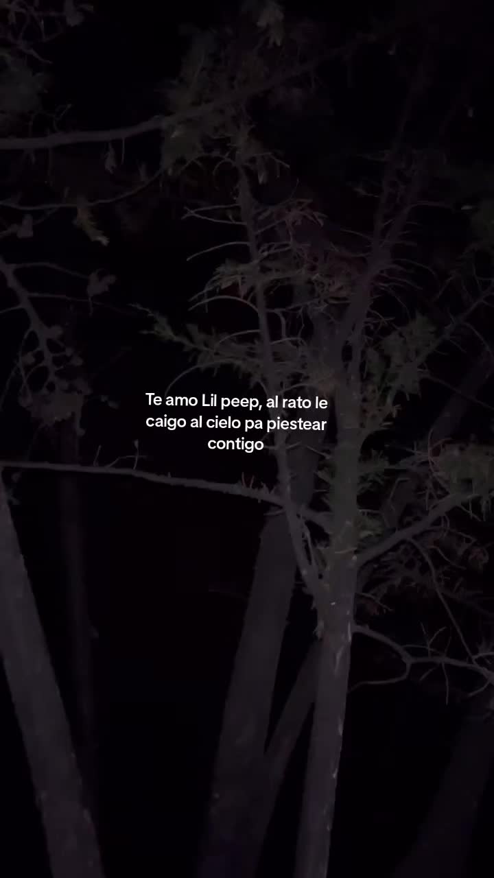 @ALE ⋆.˚꩜ .ᐟ˙⋆