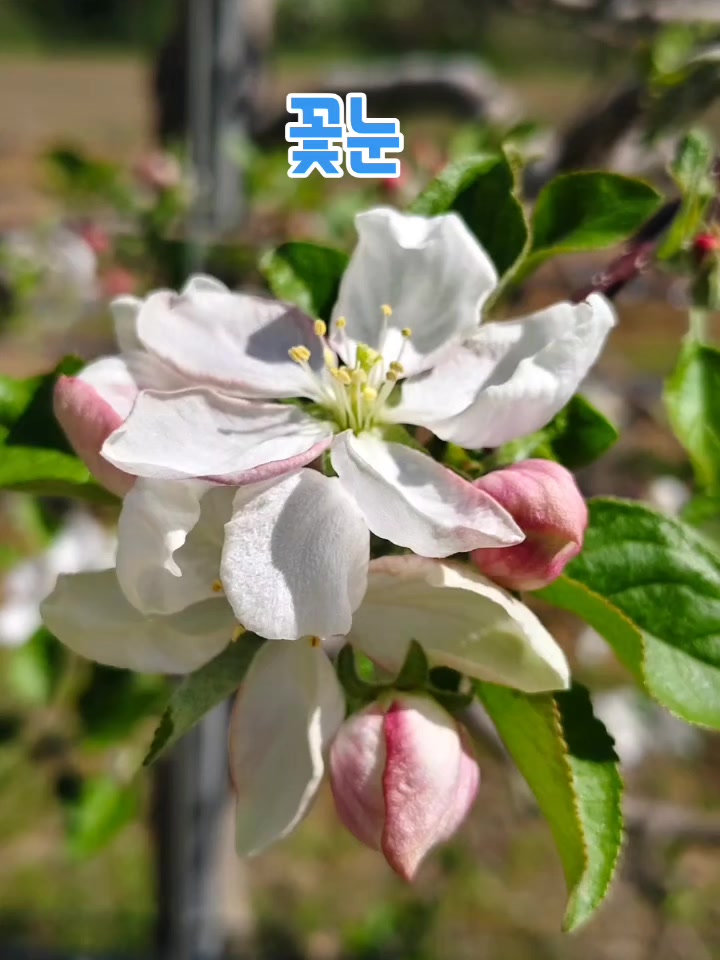 @순순