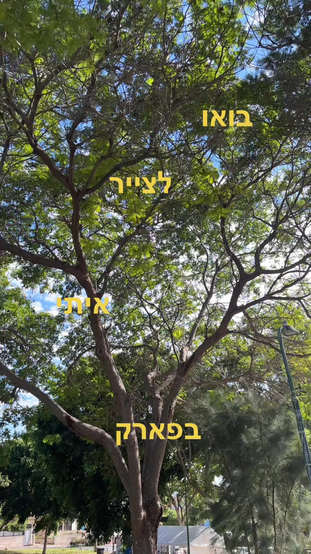 @maayansh