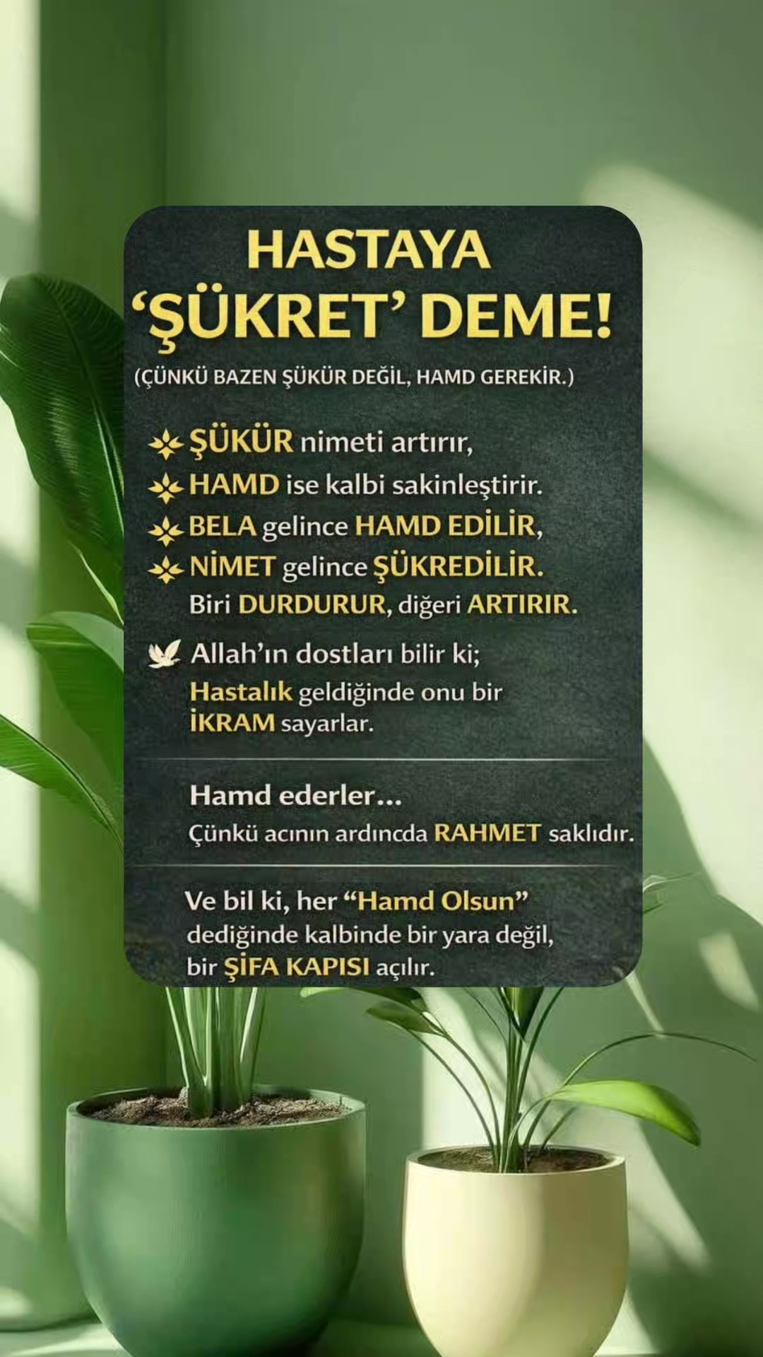 @hayat nereye gidiyor