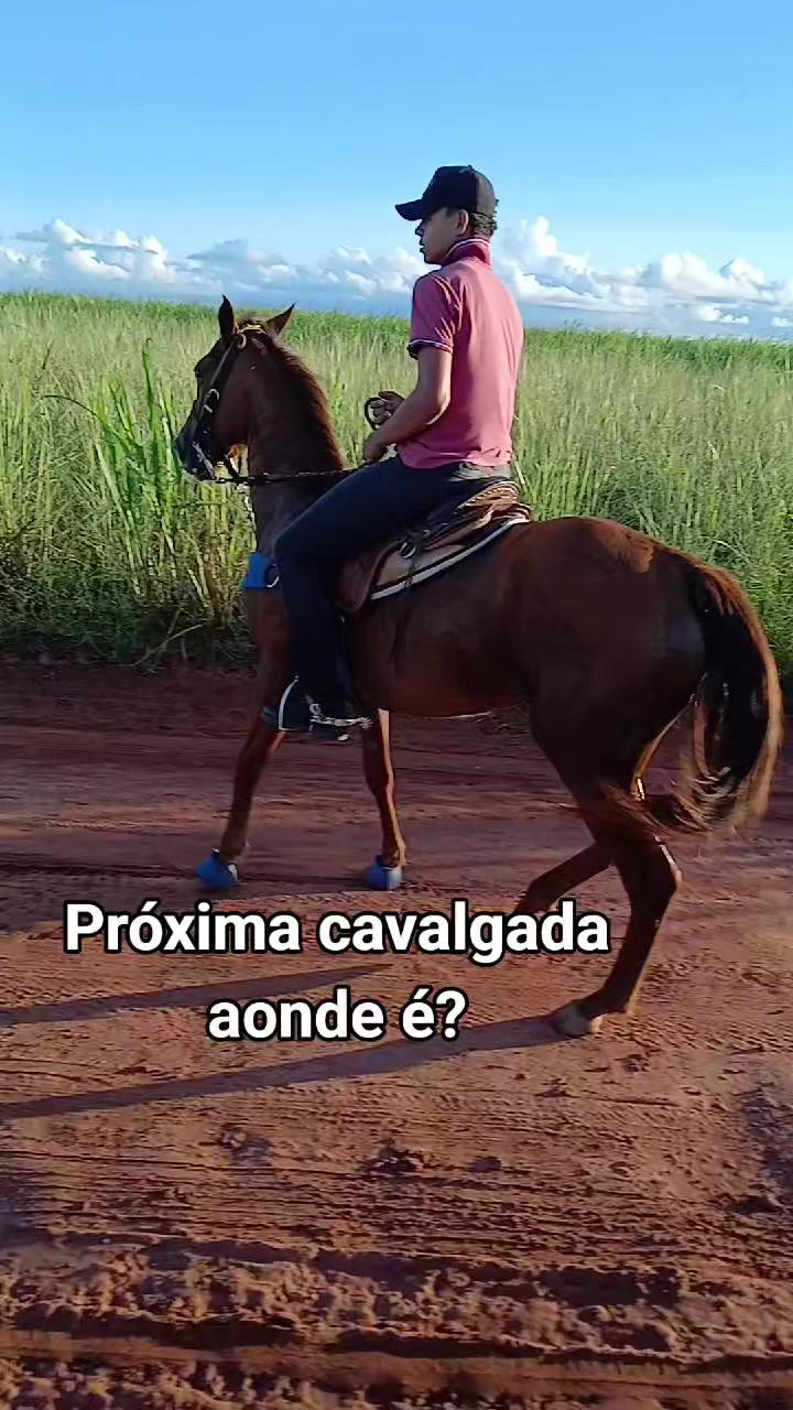@Eric Lessa