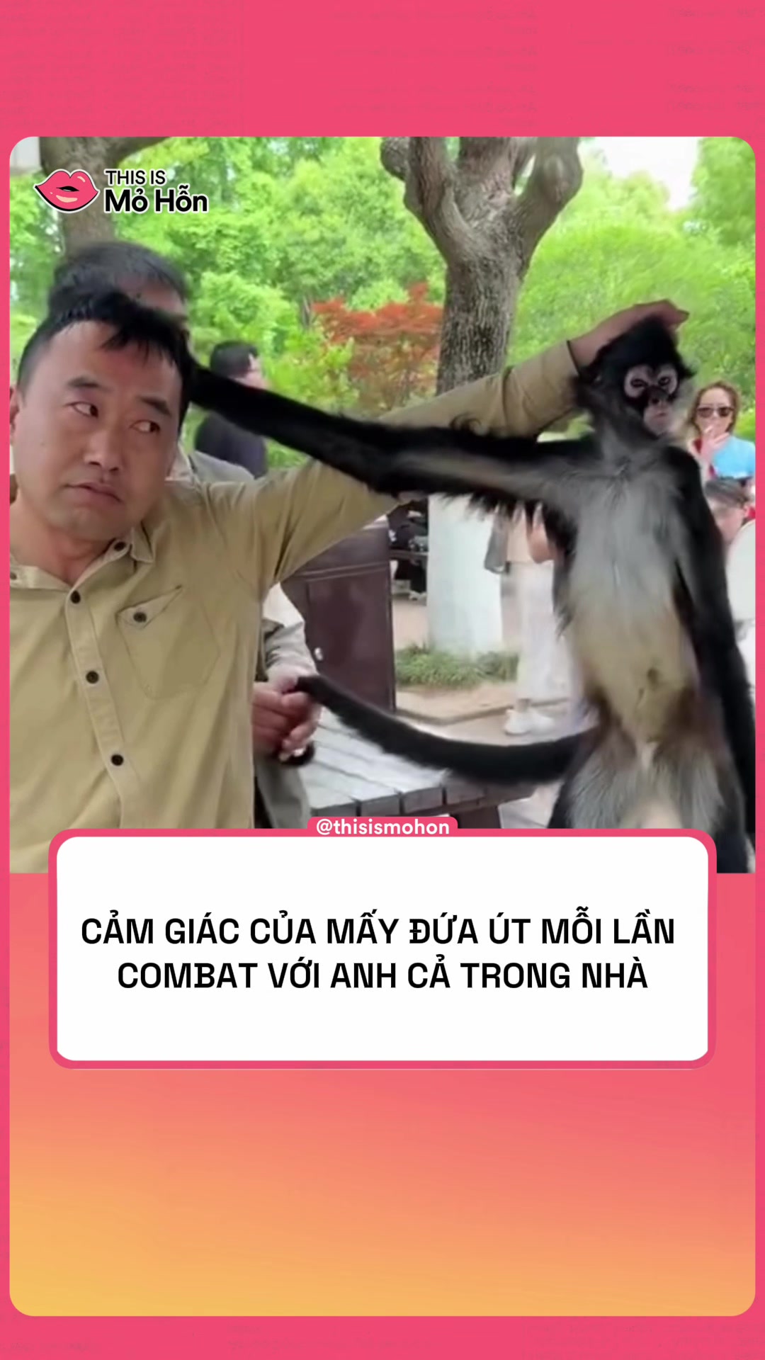 @This is Mỏ Hỗn
