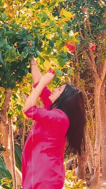 @UshaKhadka🧿🍁🇳🇵