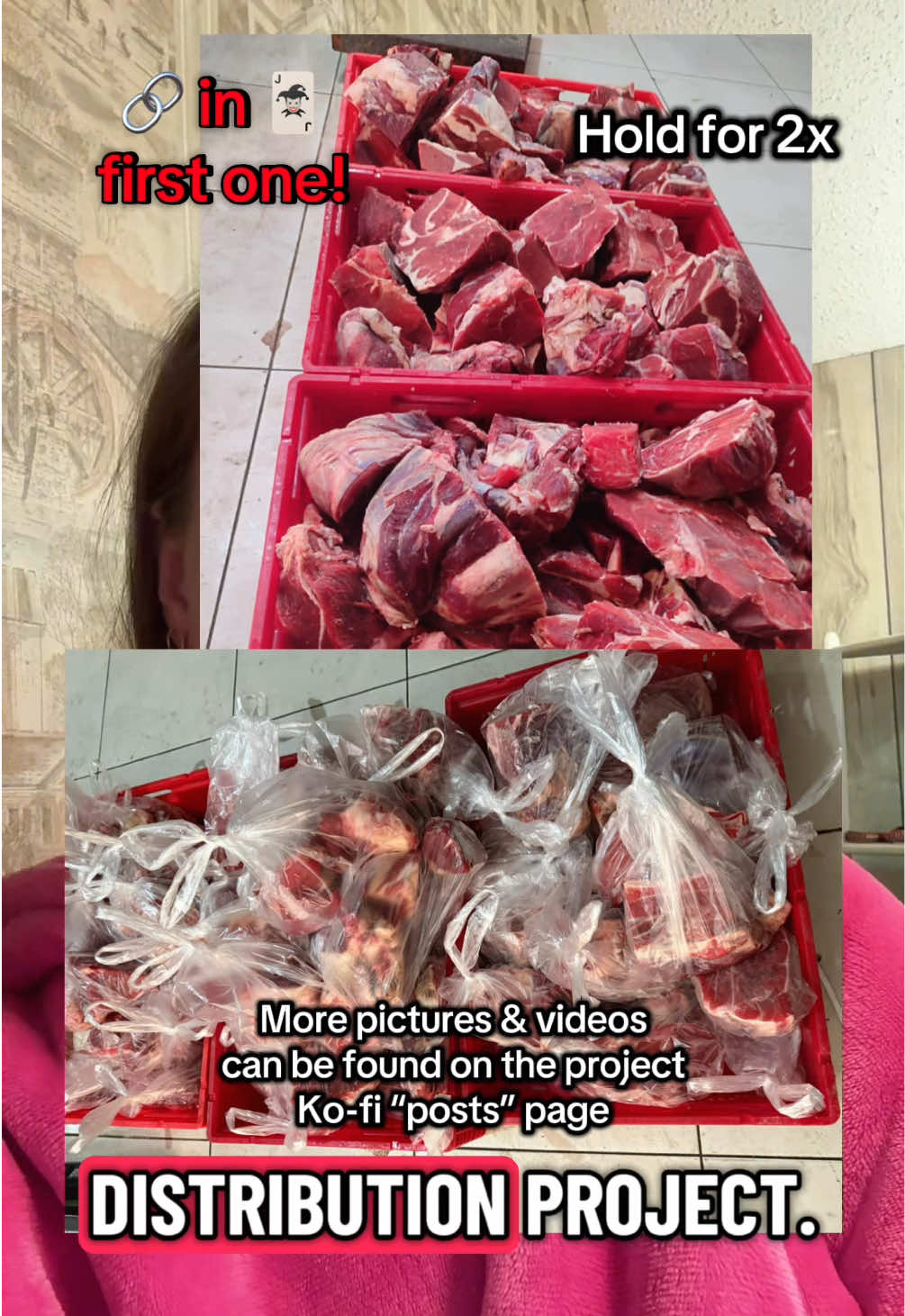 @amber 🕊️🍉