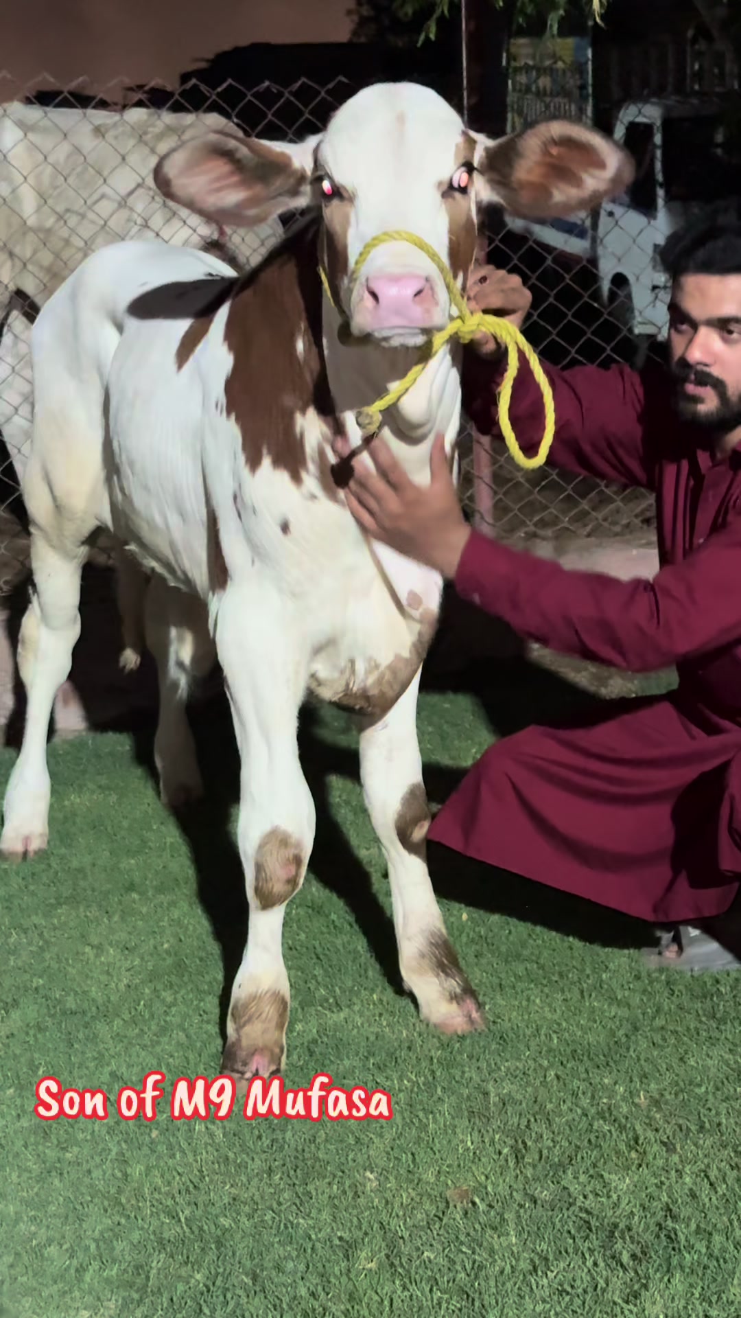 @شیخ ابوبکر ساجد