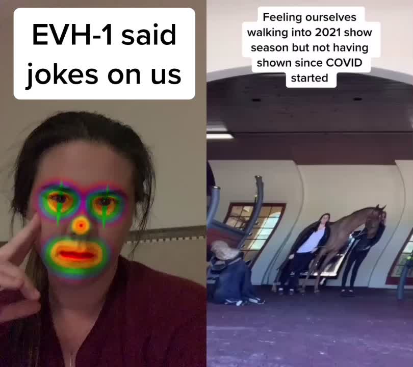 @hhewitt265