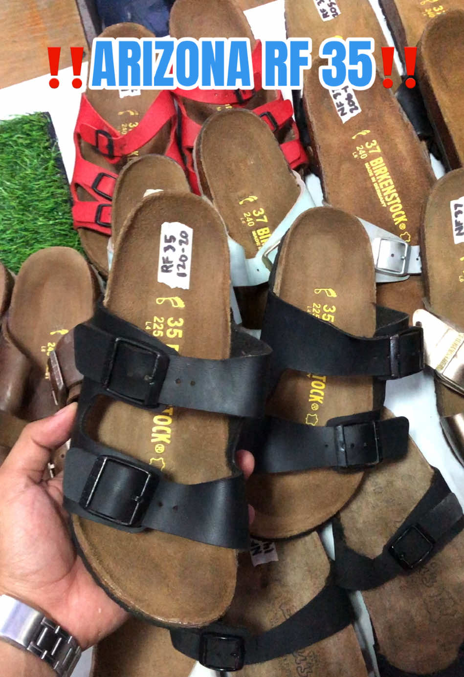 @DAILY BIRKS