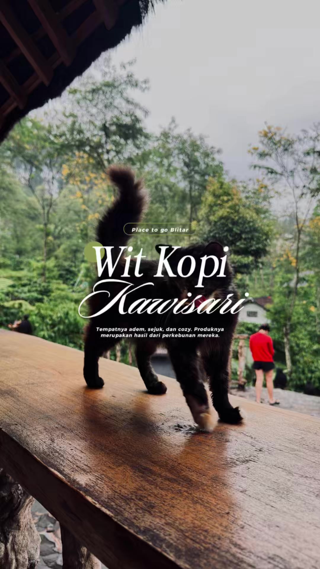 @Kikimayp