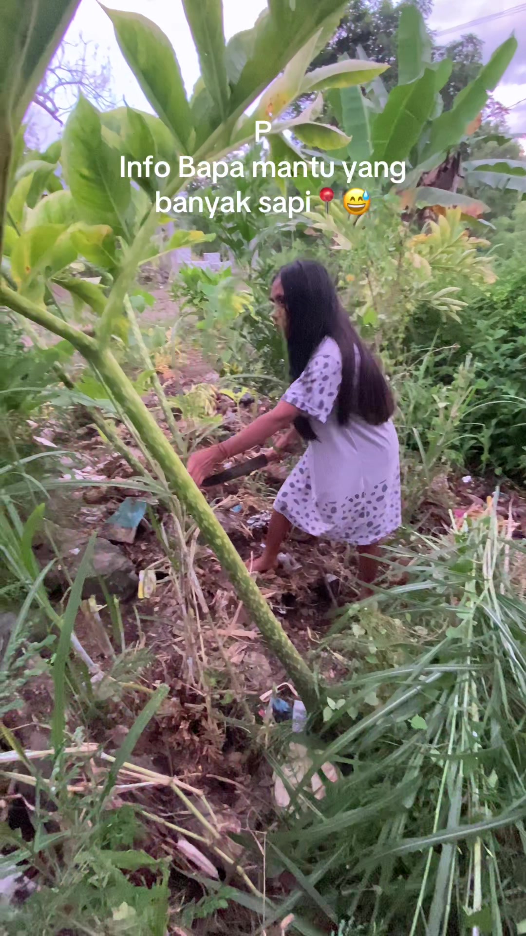 @Melda Oey31