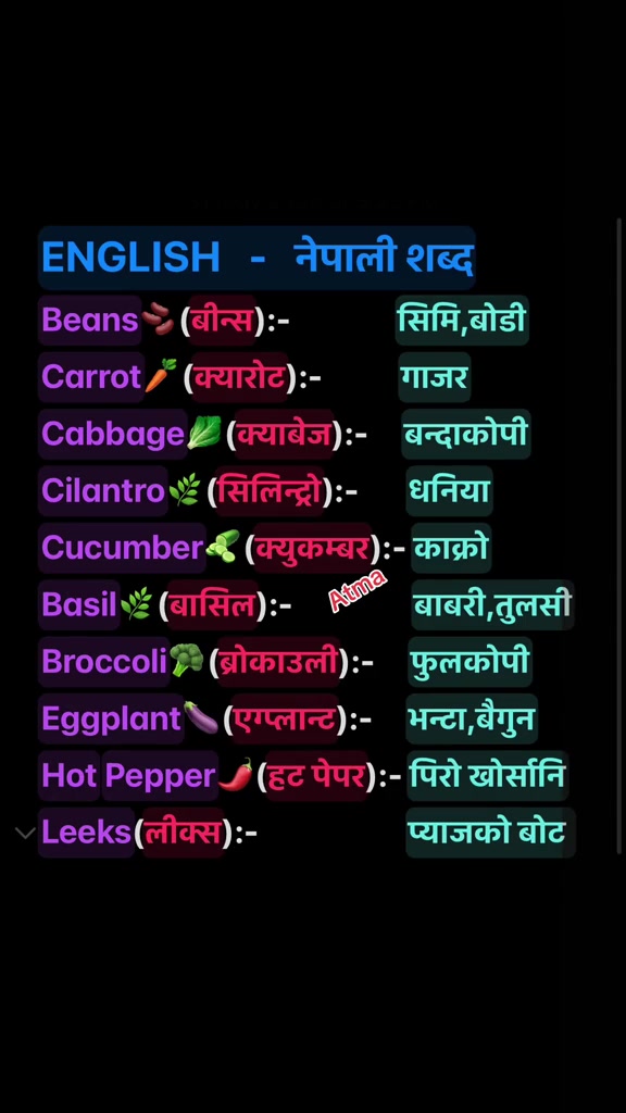 @Atmaram Dhungana