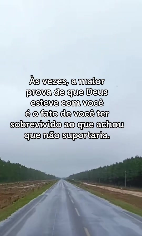 @✨ Barroso vídeos ✨