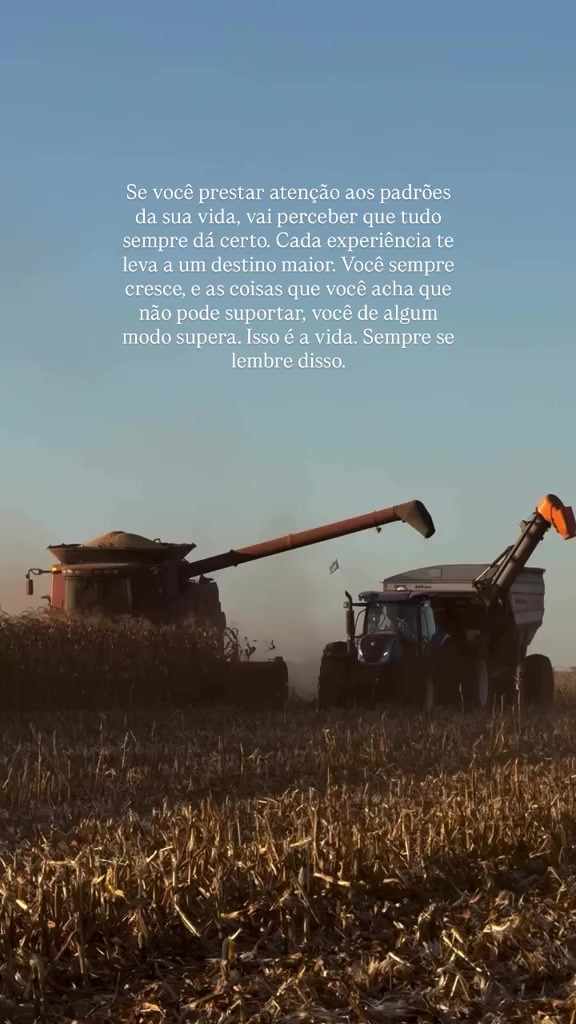 @Agro Tocantins Oficial🇧🇷