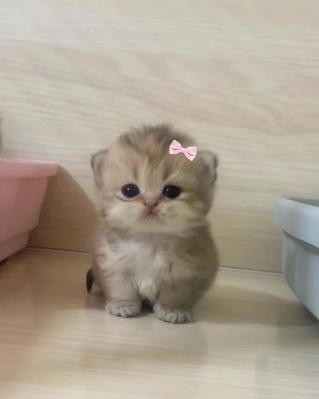 @ятупая