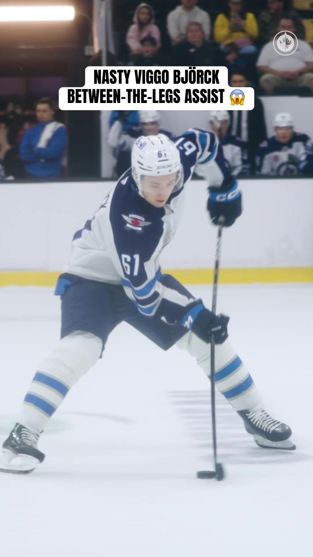 @Winnipeg Jets