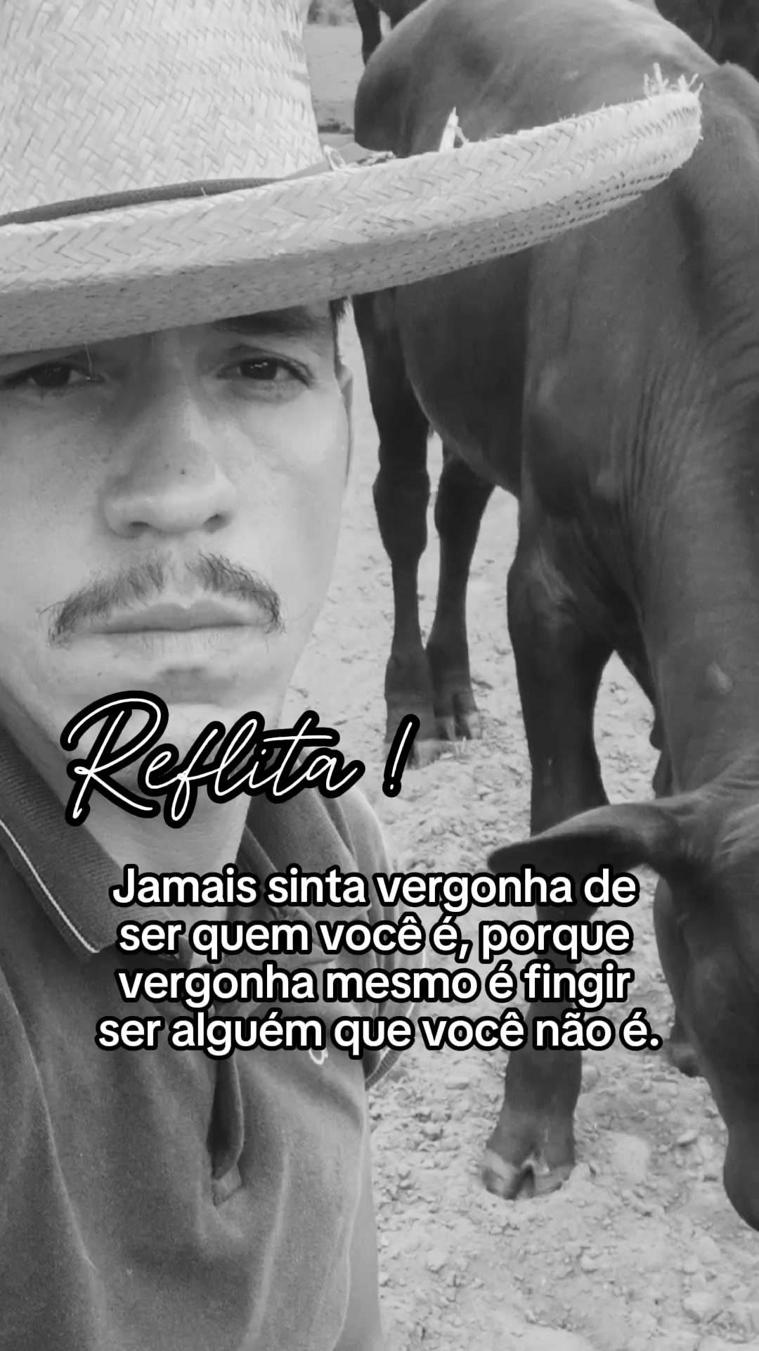 @EDSON.BENEVIDES🤠🍃