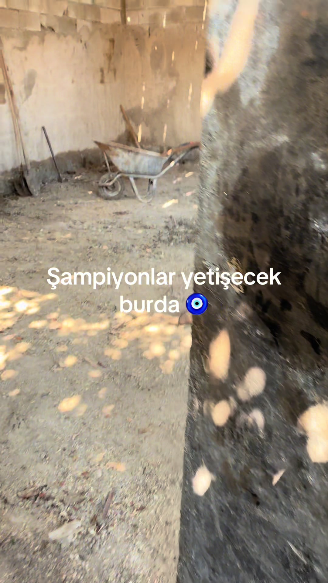 @46 cuma