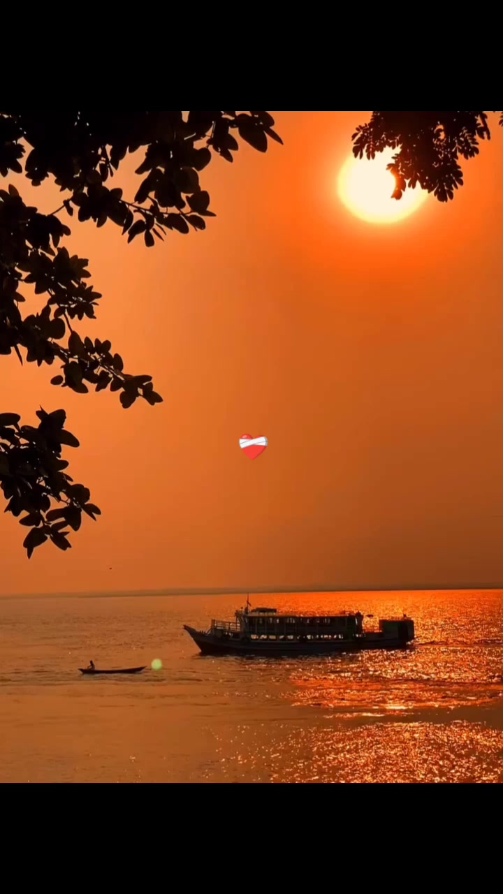 @๐ฏโ๐ชโ๐ทโ๐ทโ๐พโโค๏ธ๐ฉน