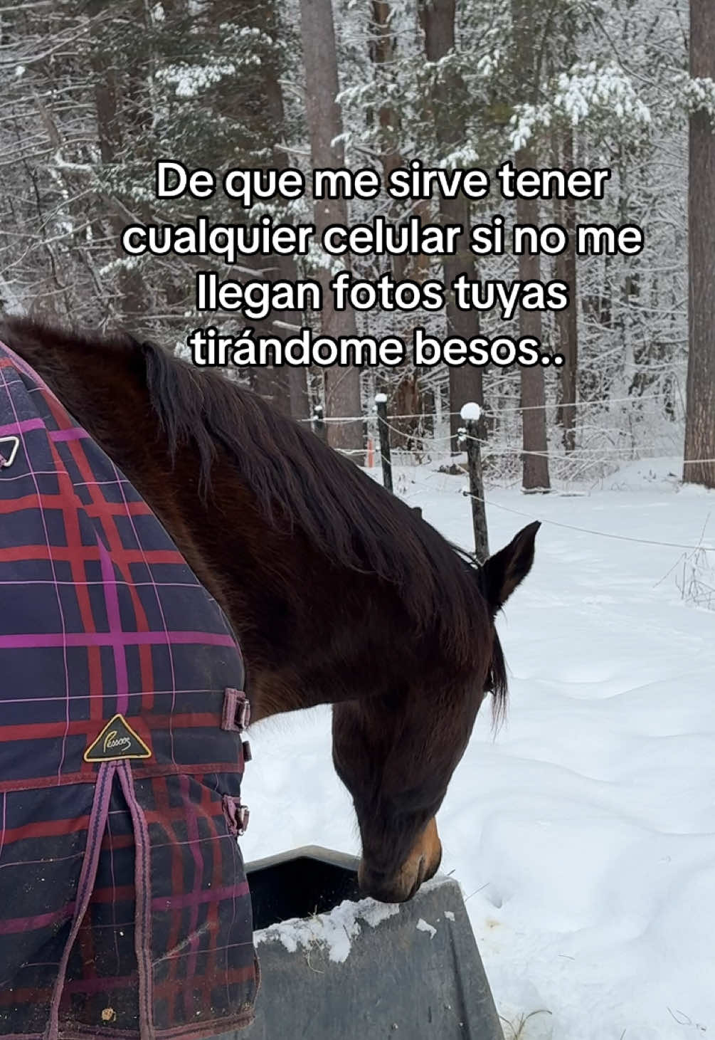 @Lara.lrc
