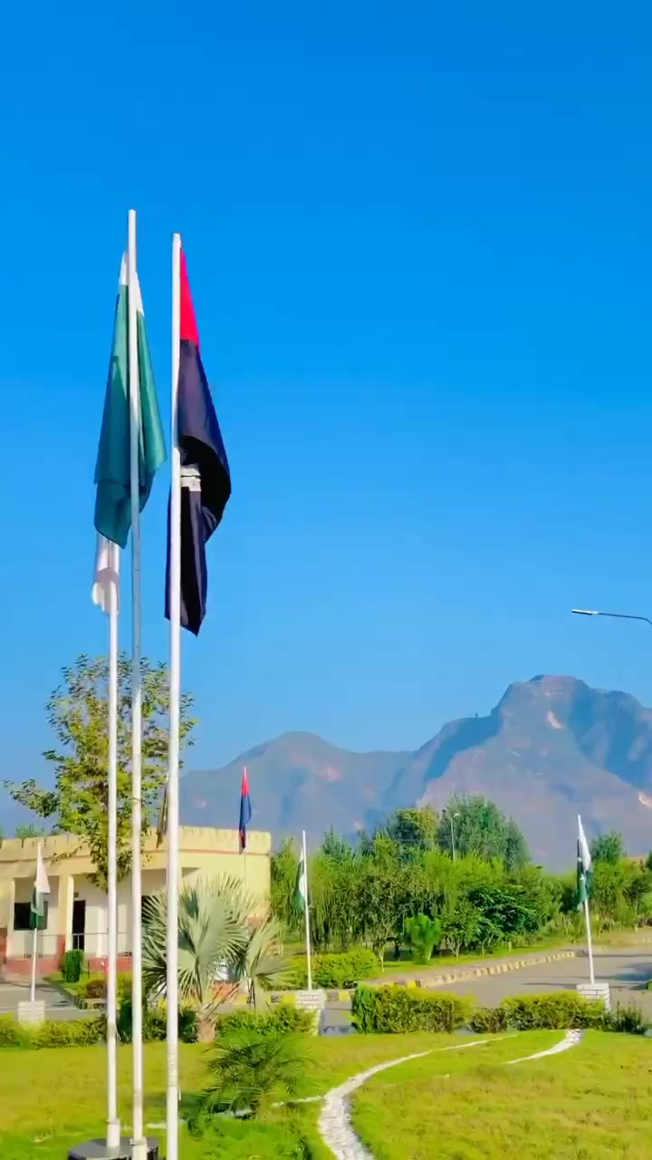 @Naikamalshah