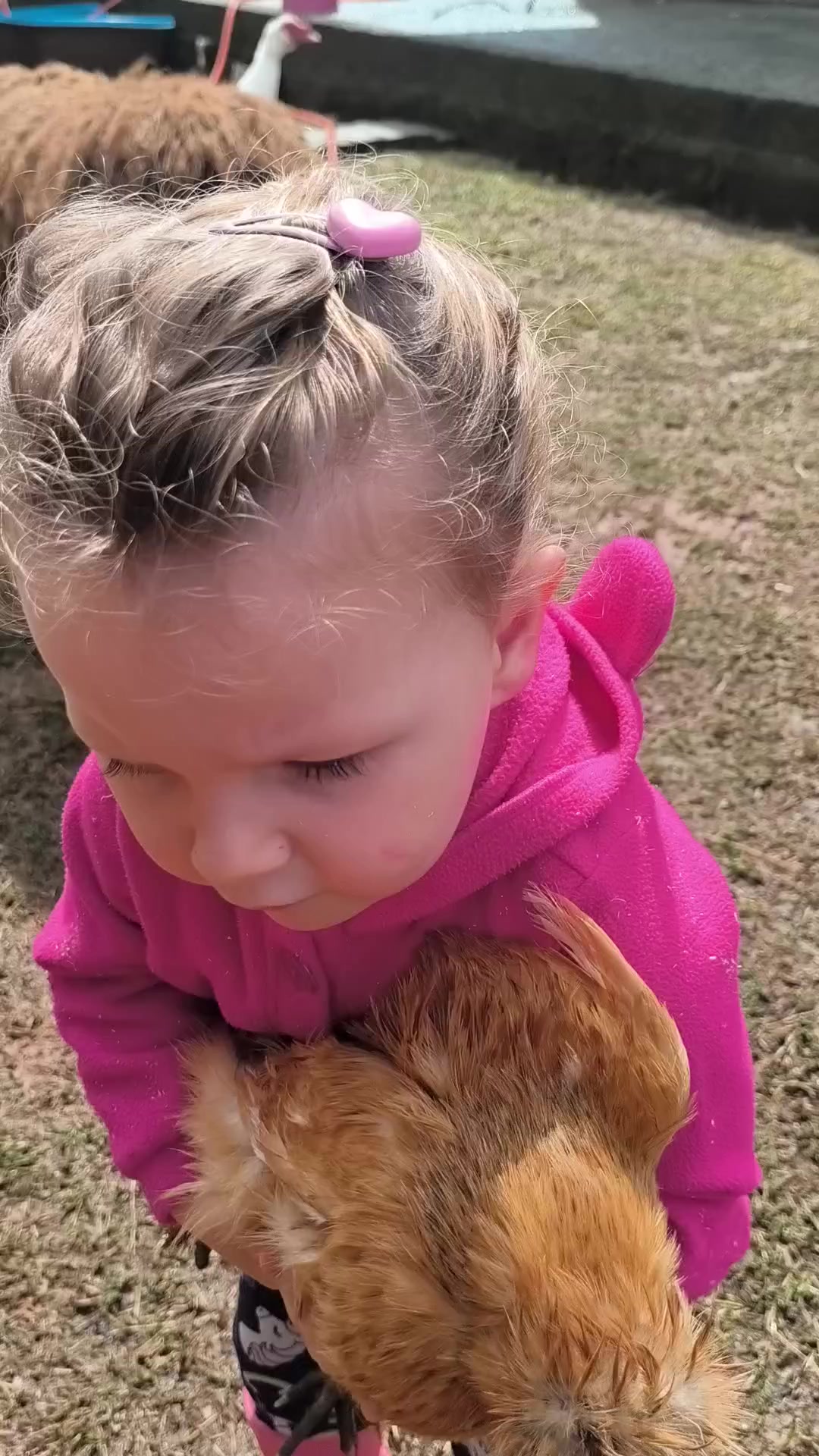 @Natália e Beatriz 🐣