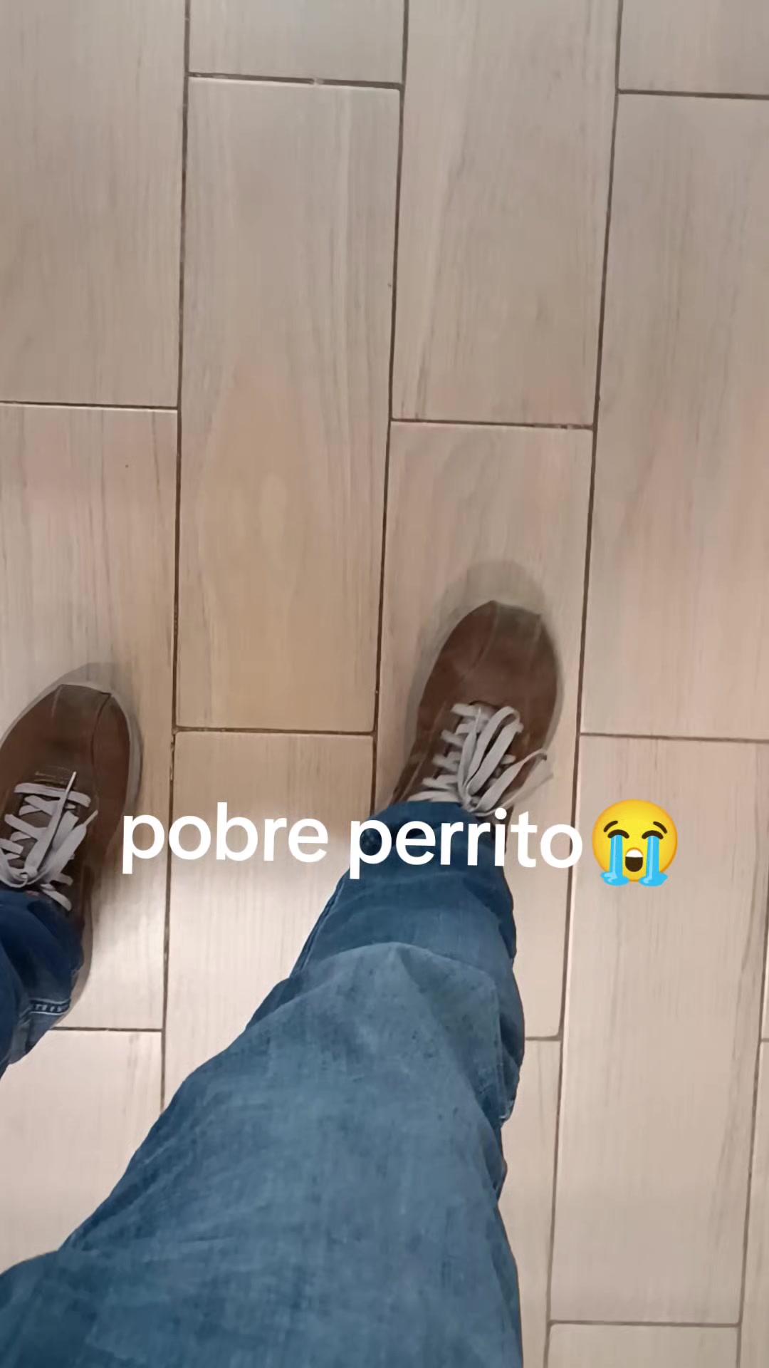 @alonsocotaquintero