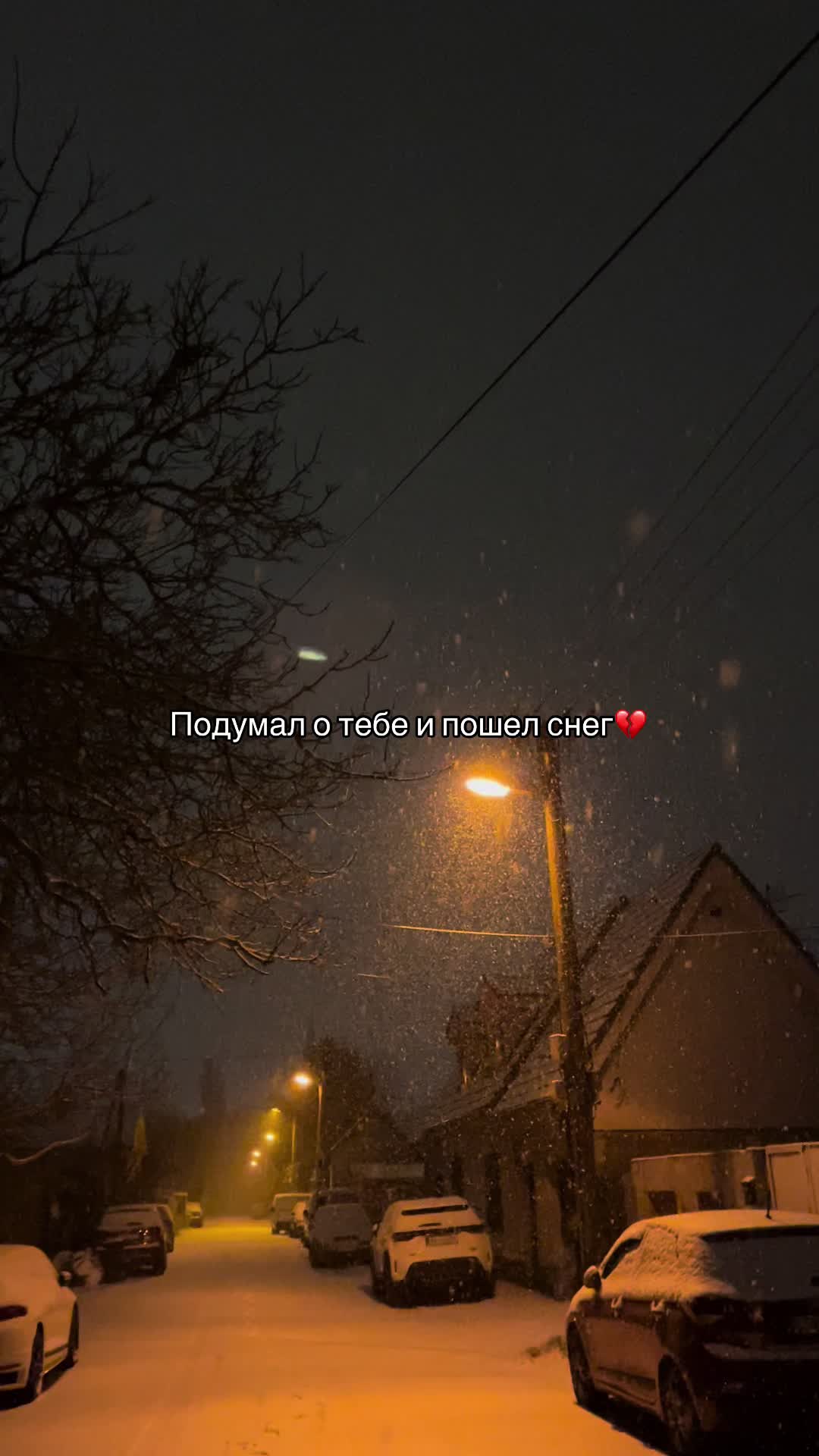 @linsho$