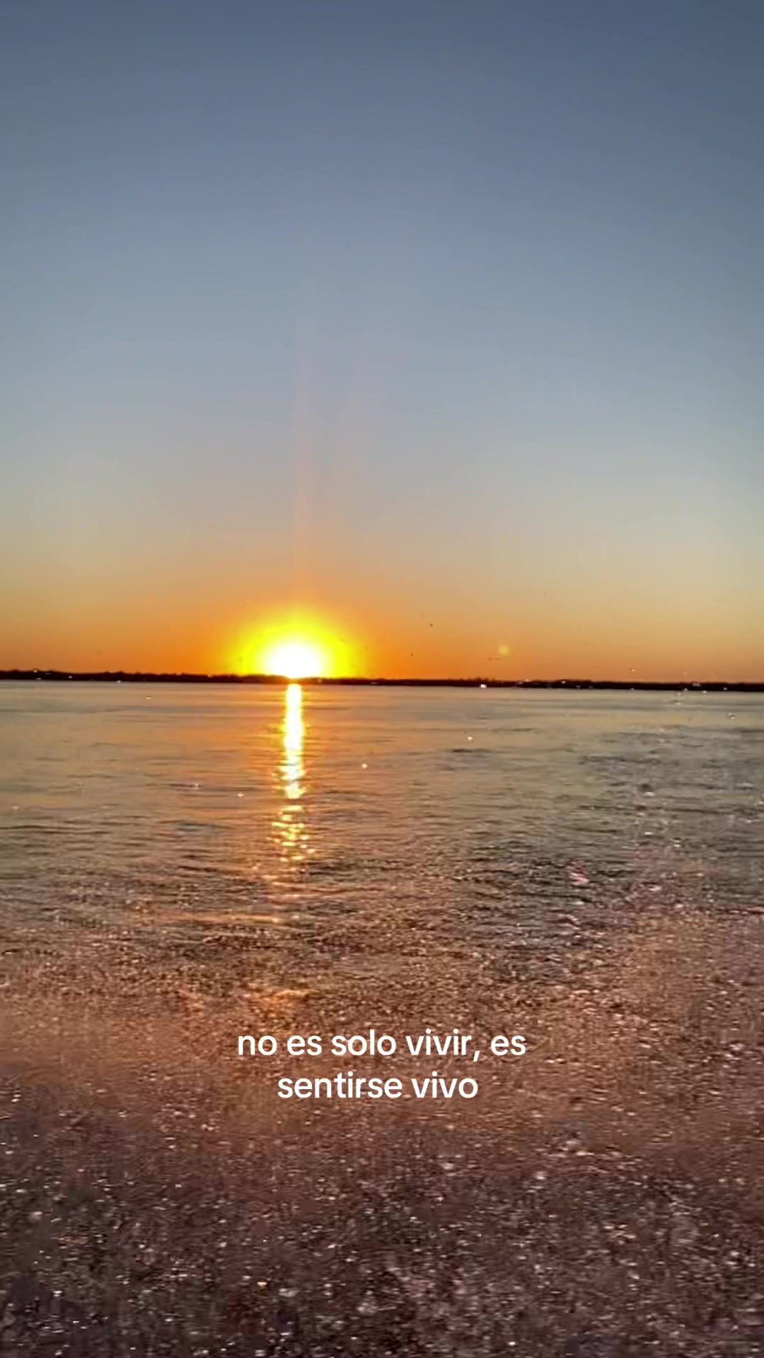 @Rocio Spilier