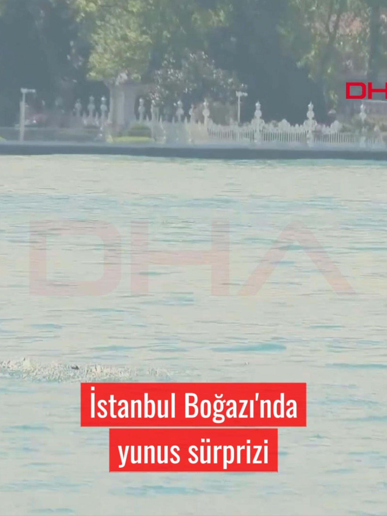 @Demir&ouml;ren Haber Ajansı