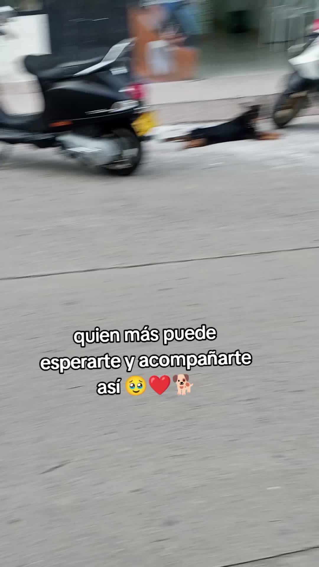 @ALFYULE