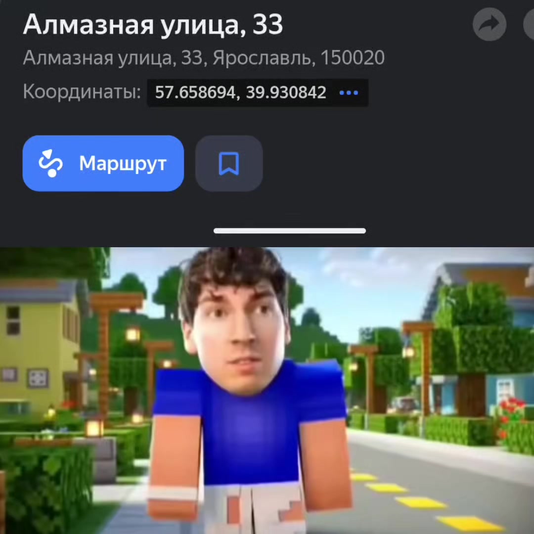 @gavz