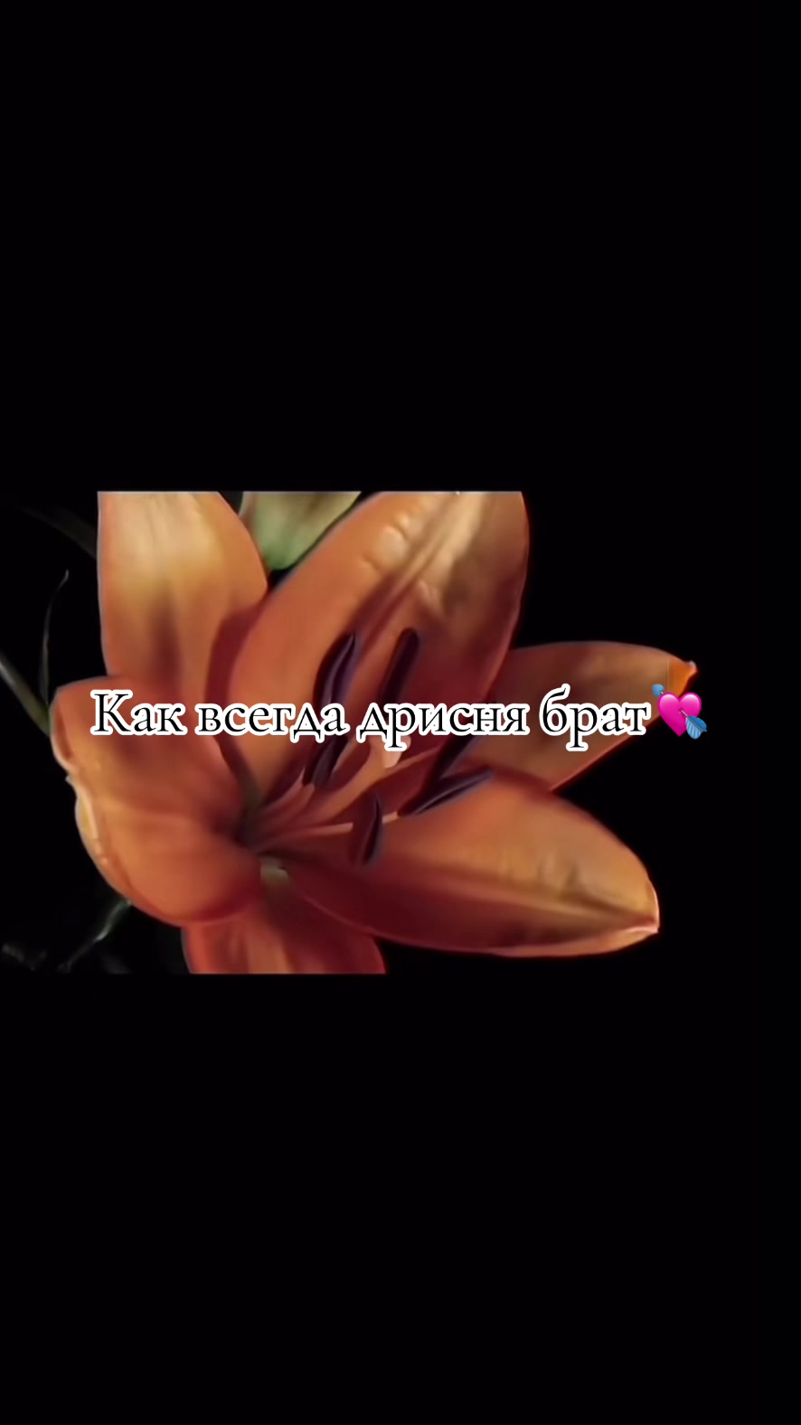 @Ромашка