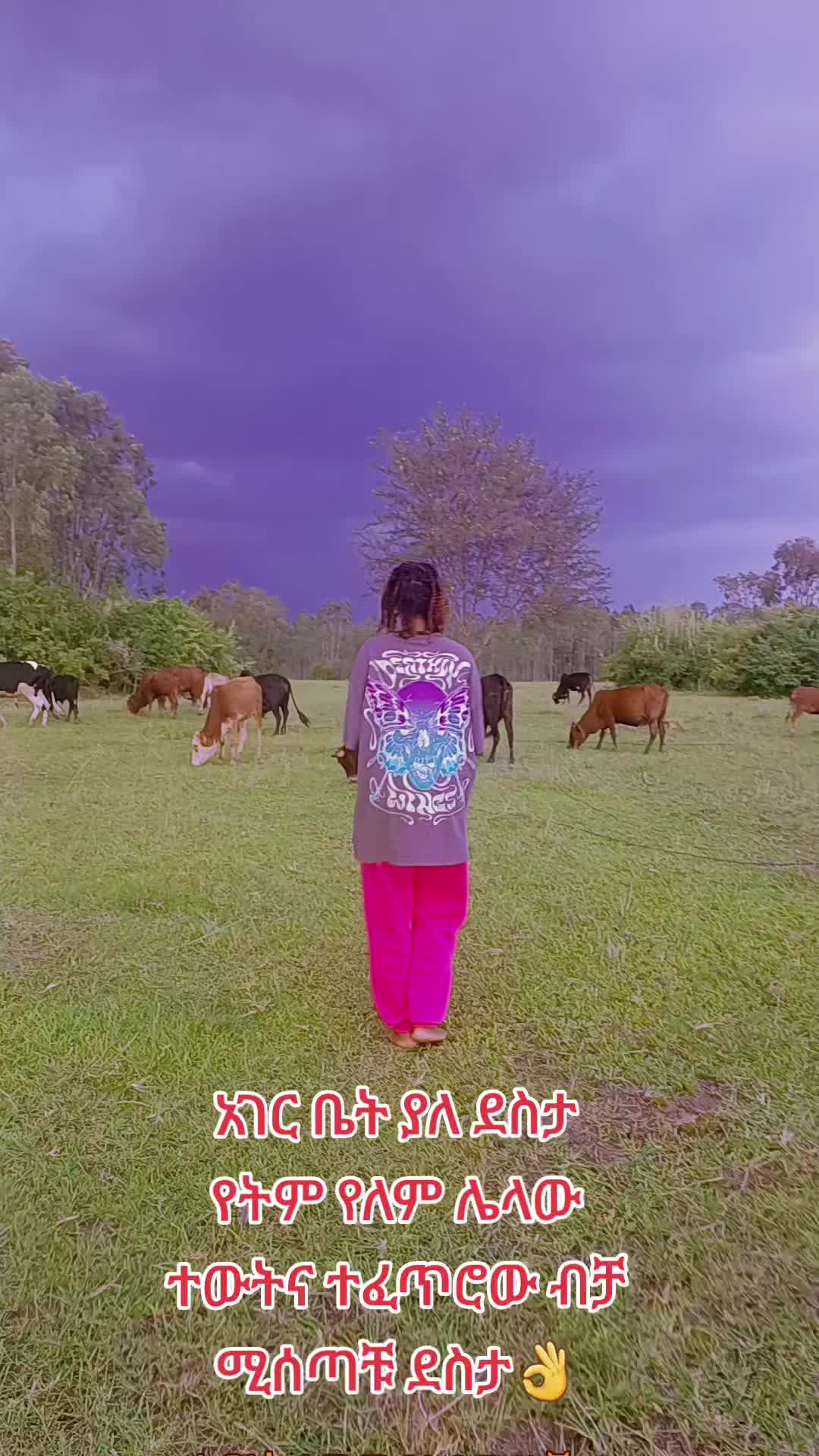 @masi