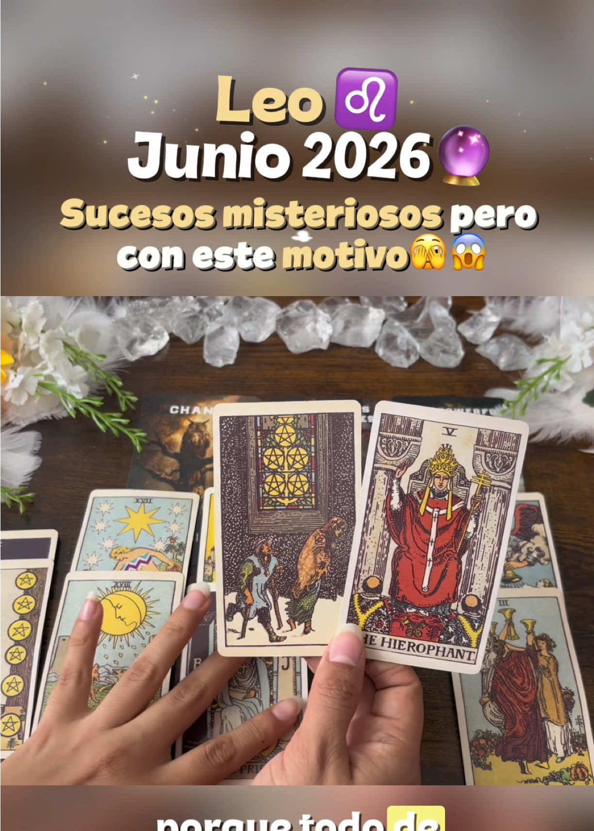 @Andy Sun Tarot ☀️