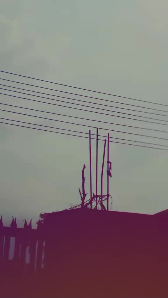 @kumran