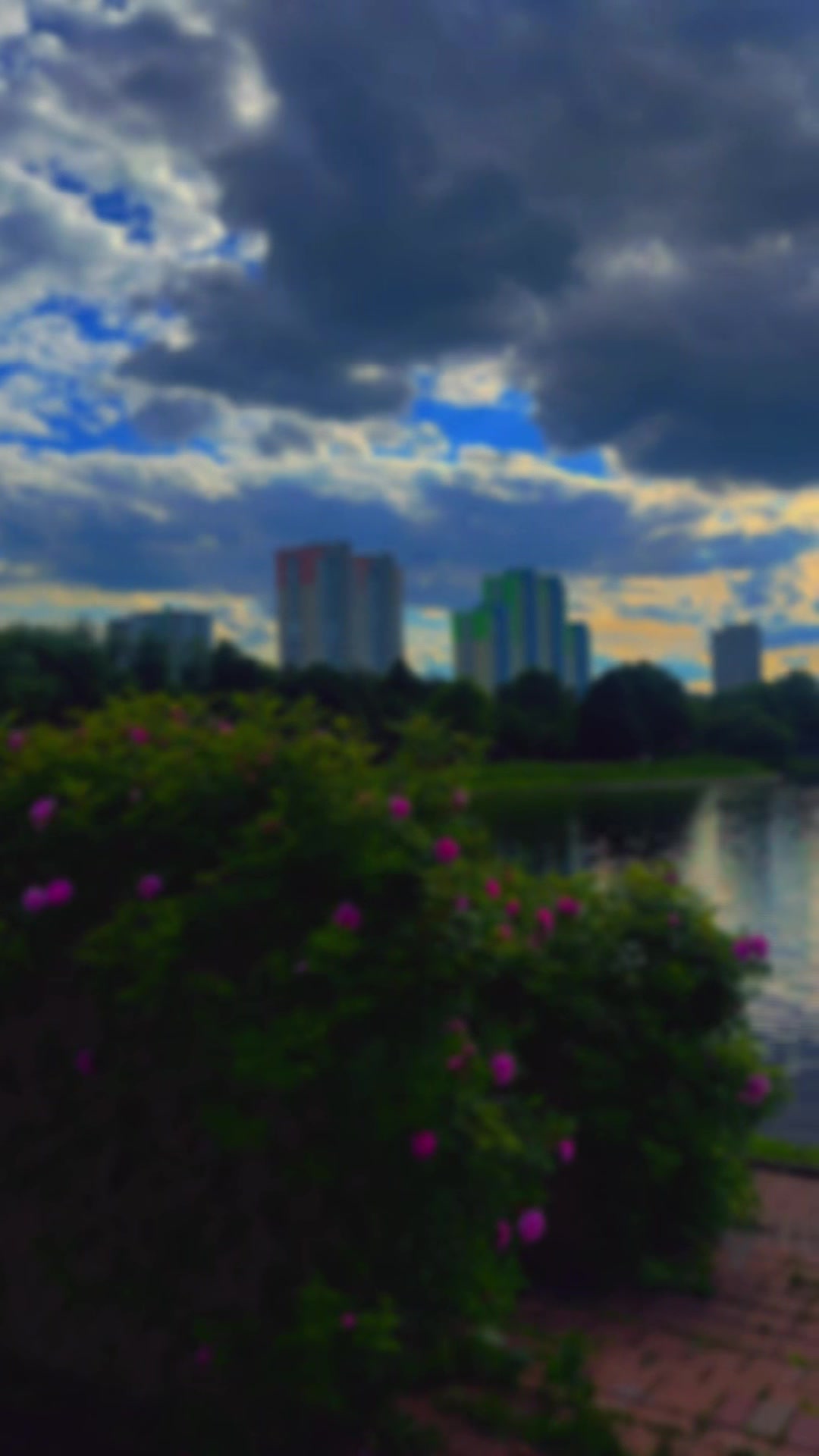 @Marina Alexandrovna